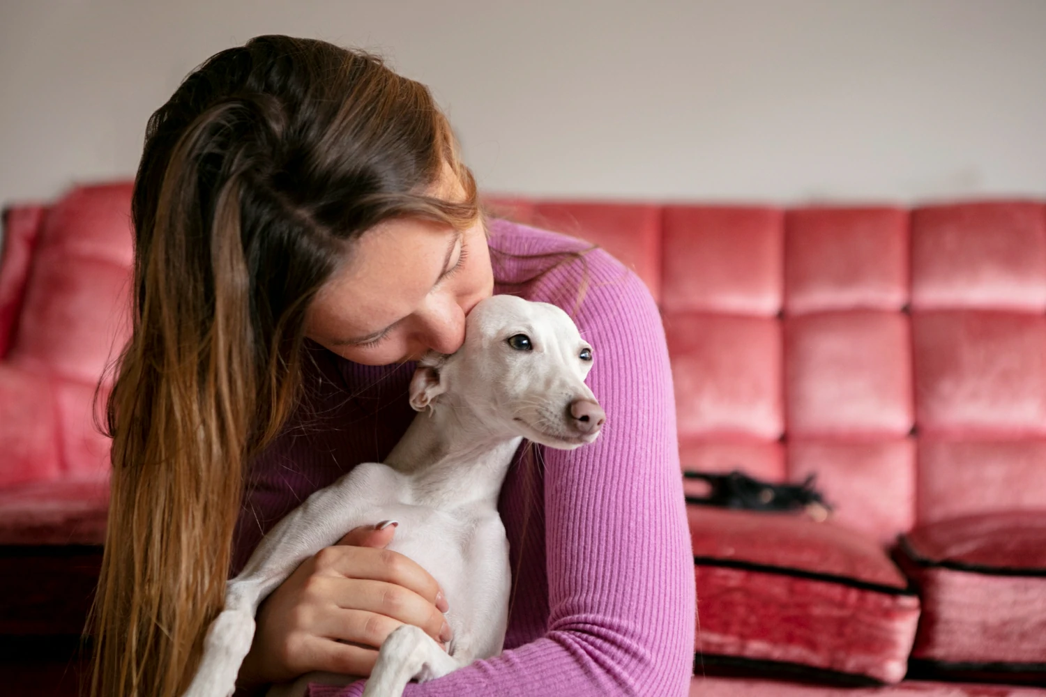 Are emotional support animals allowed in hotels?