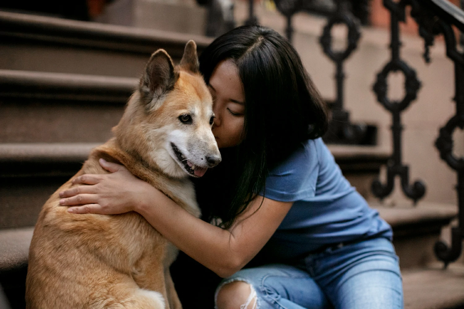 Are emotional support animals allowed in hotels?