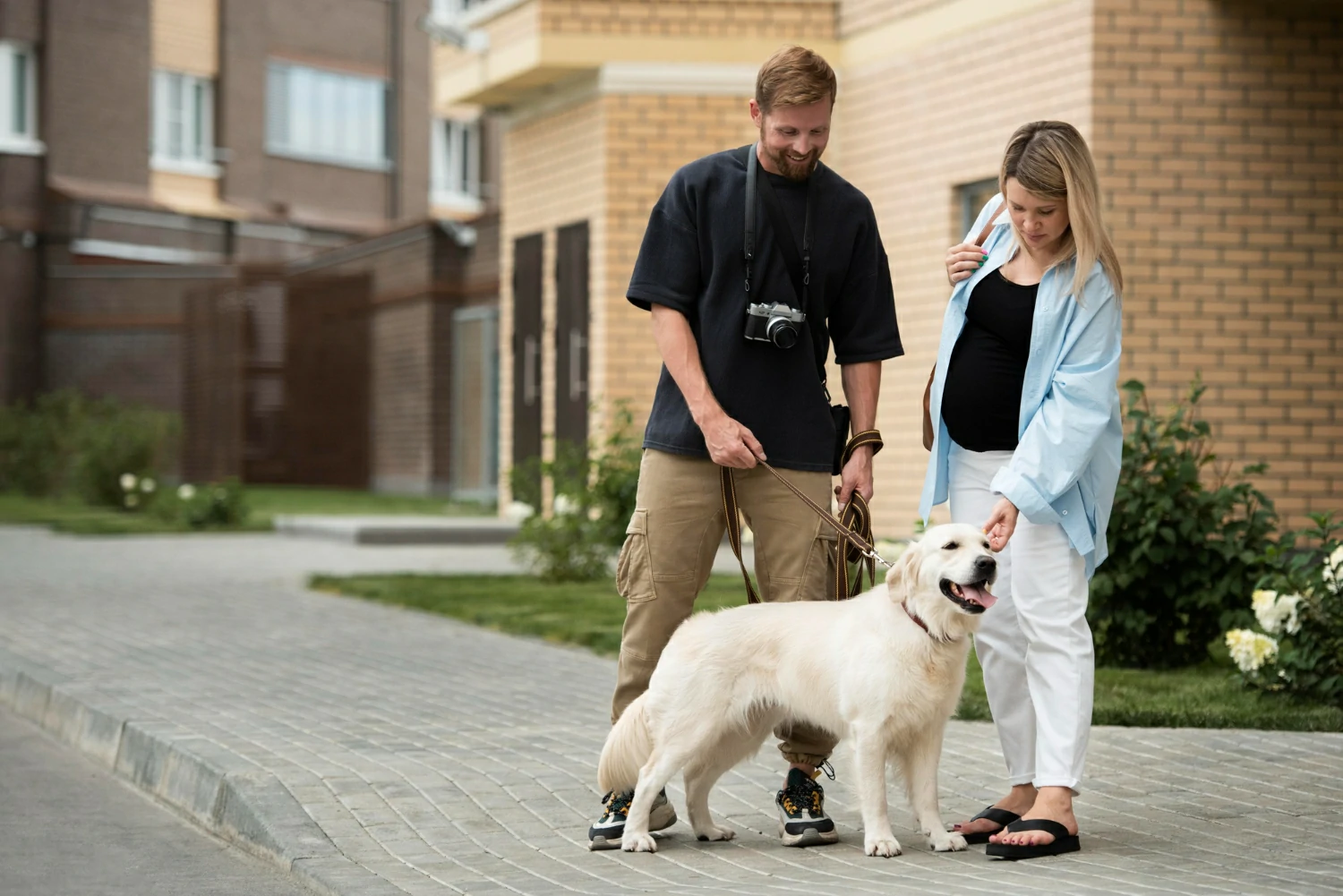 Can Hotels Charge for Service Dogs