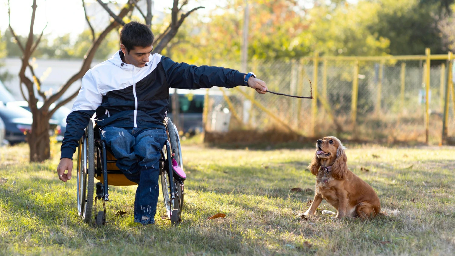 Can Hotels Charge for Service Dogs