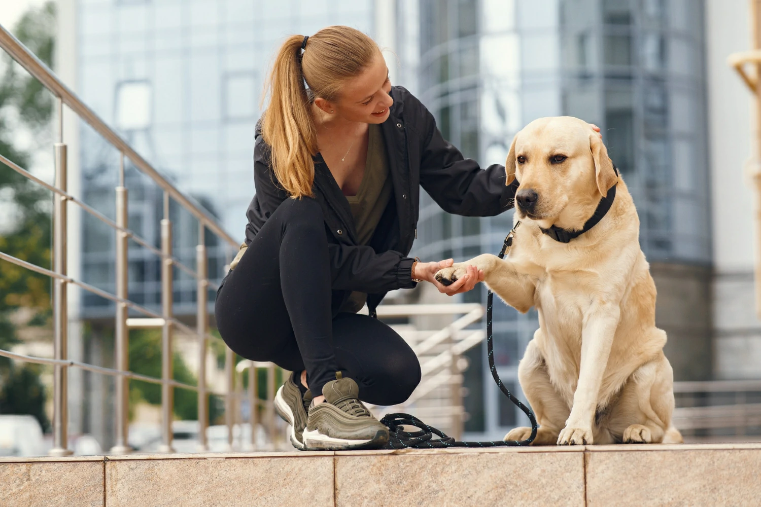 Can Hotels Charge for Service Dogs