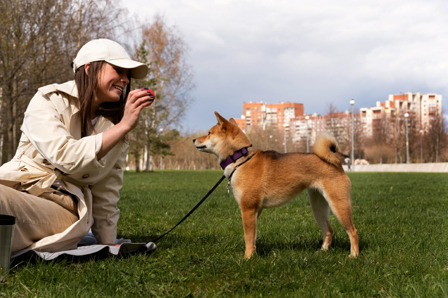 Can Hotels Charge for Service Dogs