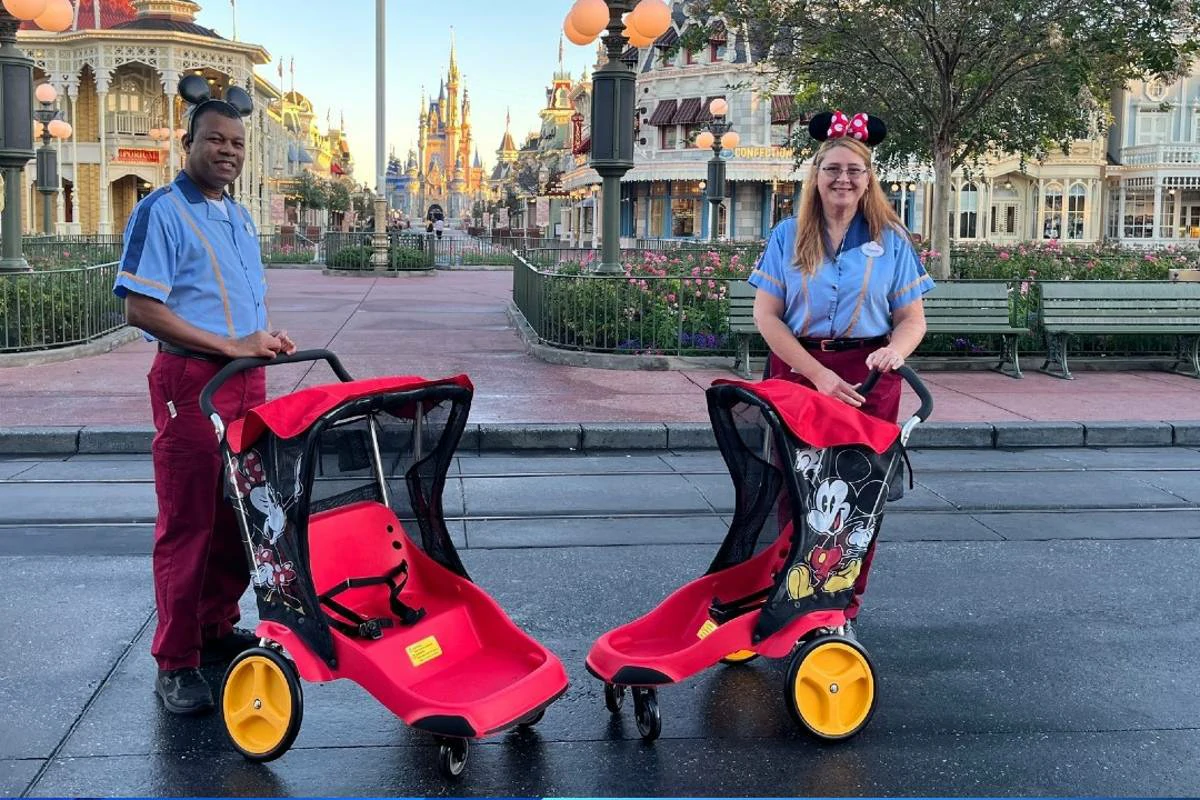 What are the Disney stroller rules?