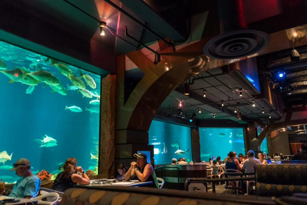 Is SeaWorld All-Day Dining Worth It?