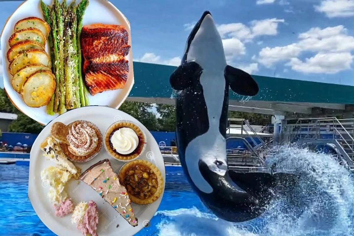 Is SeaWorld All-Day Dining Worth It?