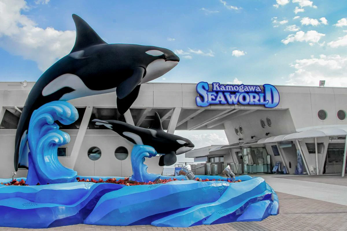 Is SeaWorld All-Day Dining Worth It?